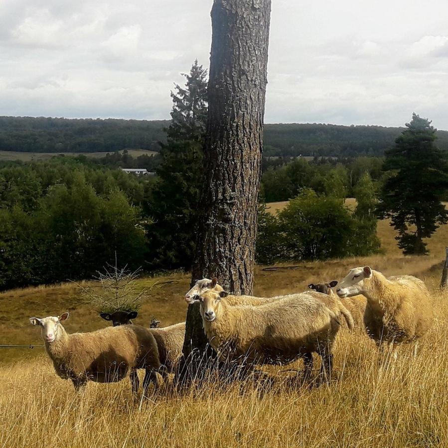 Broesarp Kaellagarden Stora Gardslaegenheten Brösarp Exterior foto