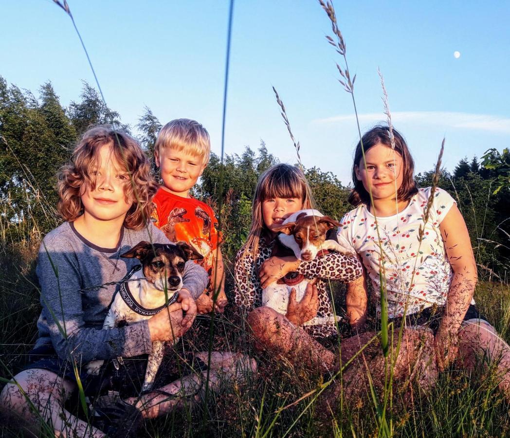 Broesarp Kaellagarden Stora Gardslaegenheten Brösarp Exterior foto