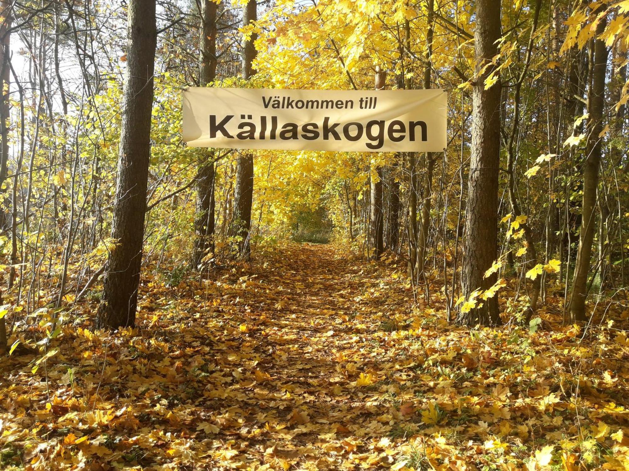 Broesarp Kaellagarden Stora Gardslaegenheten Brösarp Exterior foto