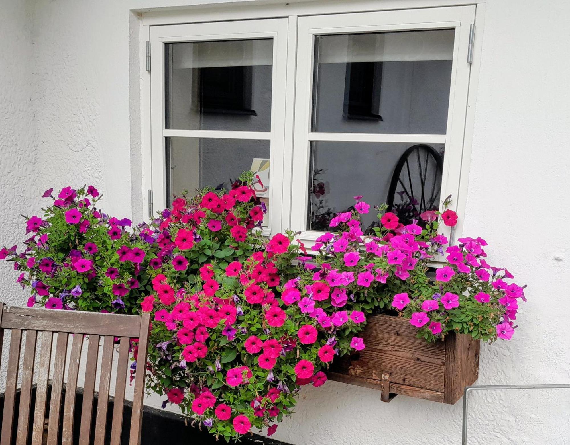 Broesarp Kaellagarden Stora Gardslaegenheten Brösarp Exterior foto